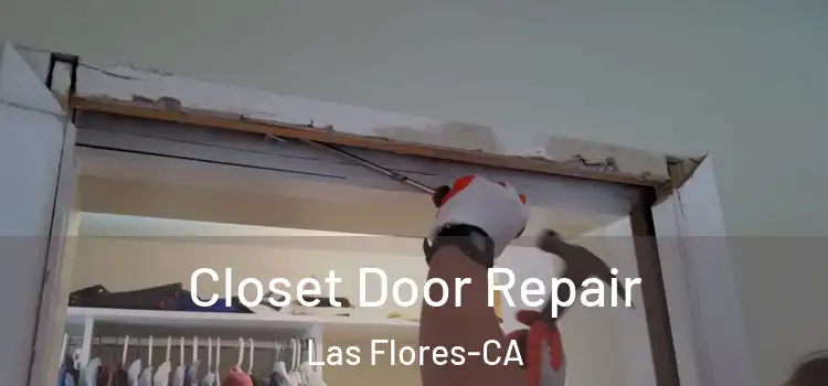 Closet Door Repair Las Flores-CA