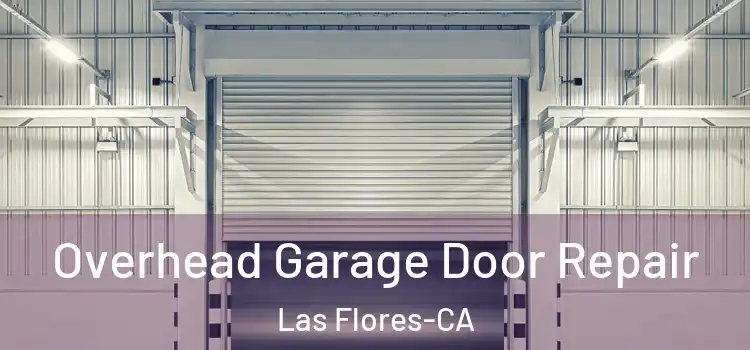 Overhead Garage Door Repair Las Flores-CA