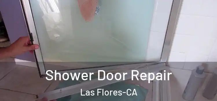 Shower Door Repair Las Flores-CA